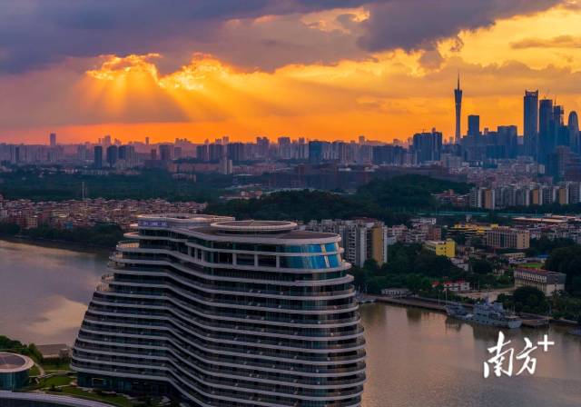 廣州生物島。南方+拍客 陸建生 攝